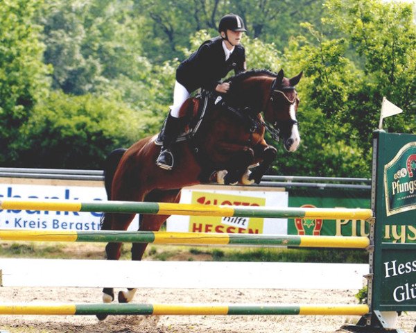 horse Luana 34 (German Warmblood, 2004, from Lake Tahoe)