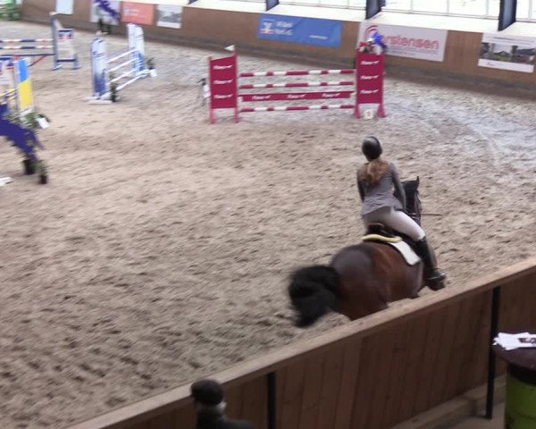 Reitturnier Niebüll 2022