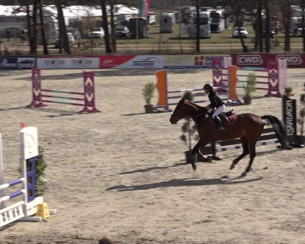 Reitturnier Westergellersen 2022