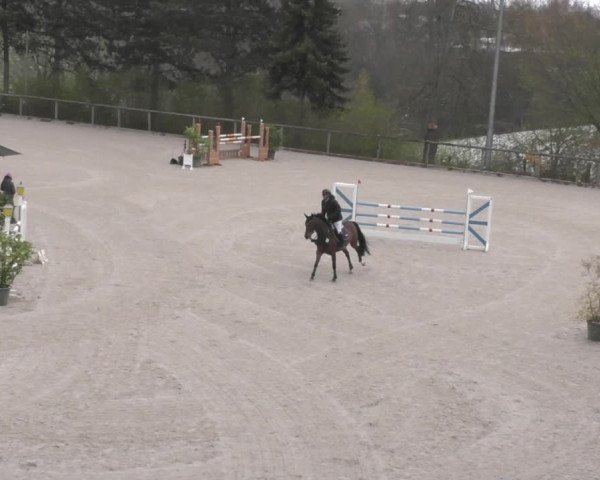 Reitturnier Erkrath - Uhlenhof 2022