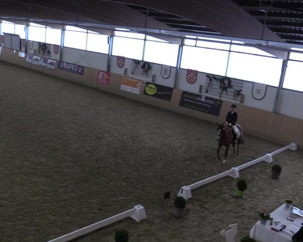 Reitturnier Borgholzhausen-Westbarthausen 2022