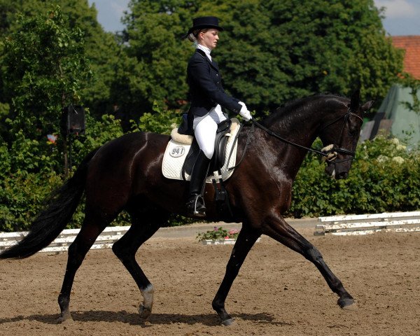 dressage horse Rosandro 2 (Oldenburg, 2005, from Rohdiamant)