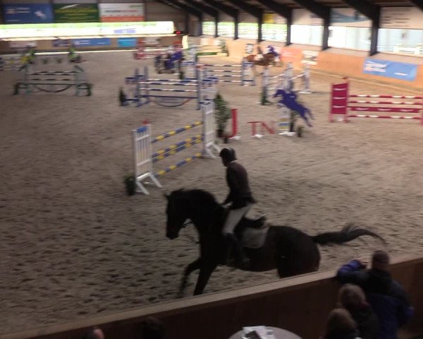 Reitturnier Niebüll 2022