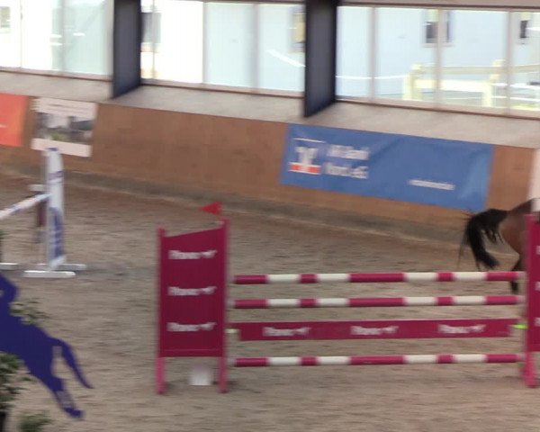 Reitturnier Niebüll 2022