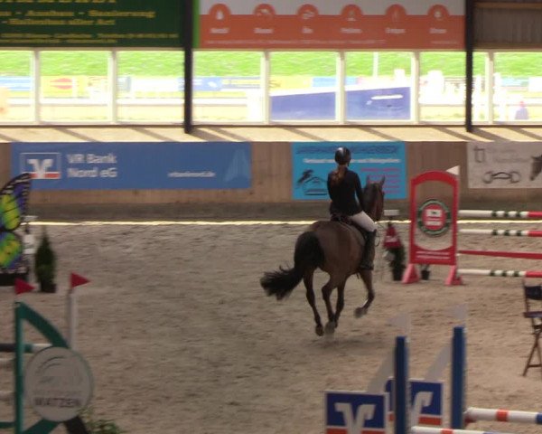 Reitturnier Niebüll 2022