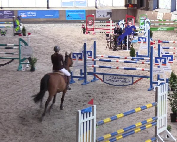 Reitturnier Niebüll 2022