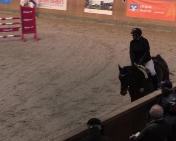 Reitturnier Niebüll 2022