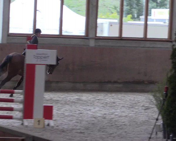 Reitturnier Leverkusen-Rheindorf 2022