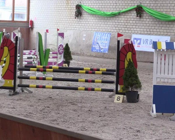 Reitturnier Leverkusen-Rheindorf 2022