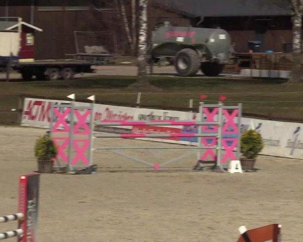 Reitturnier Westergellersen 2022