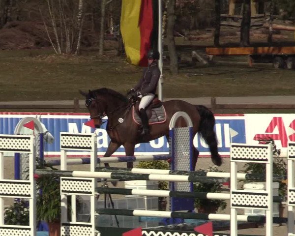 Reitturnier Westergellersen 2022