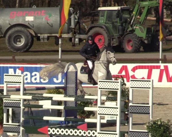 Reitturnier Westergellersen 2022