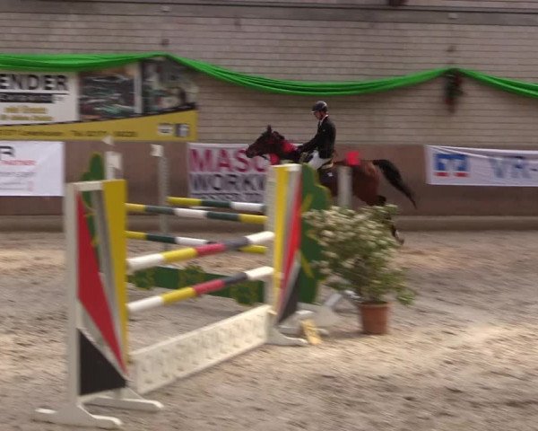 Reitturnier Leverkusen-Rheindorf 2022