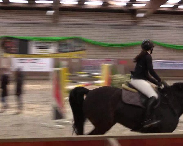 Reitturnier Leverkusen-Rheindorf 2022
