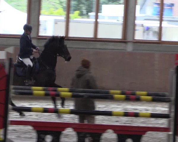 Reitturnier Leverkusen-Rheindorf 2022