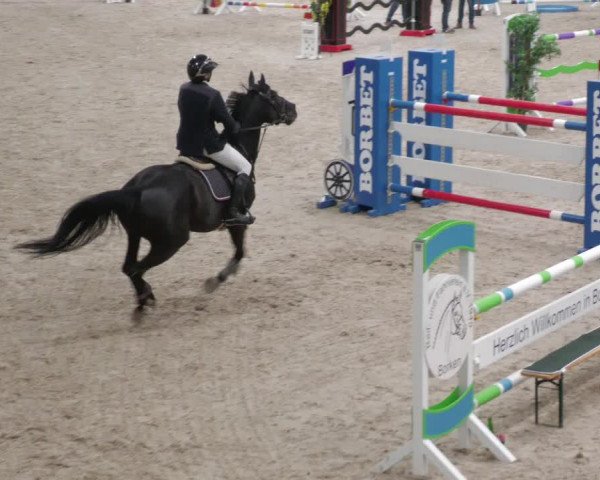 Reitturnier Borken 2022