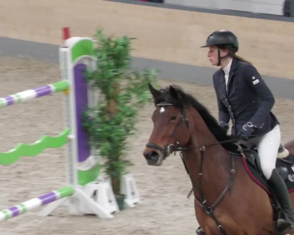 Reitturnier Borken 2022