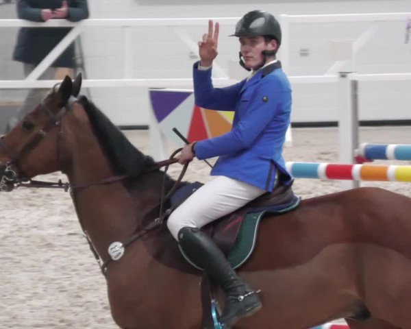 Reitturnier Borken 2022