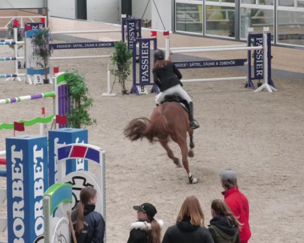 Reitturnier Borken 2022