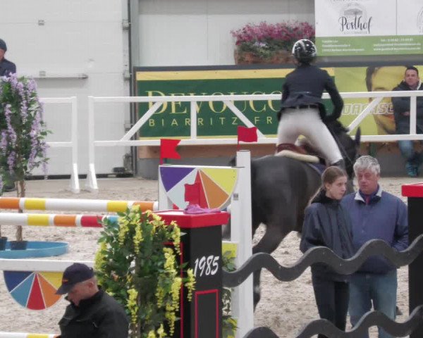 Reitturnier Borken 2022
