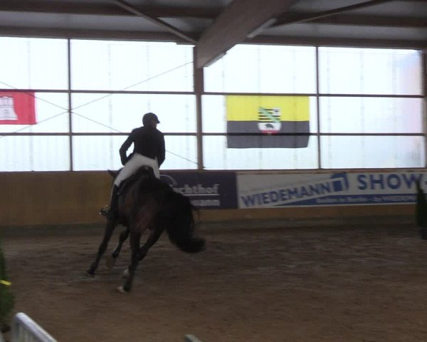 Reitturnier Pausin 2022