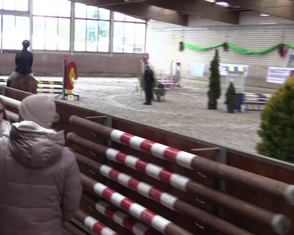 Reitturnier Leverkusen-Rheindorf 2022
