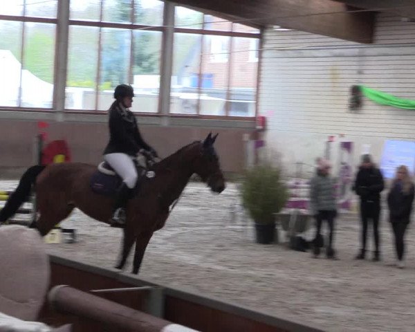 Reitturnier Leverkusen-Rheindorf 2022