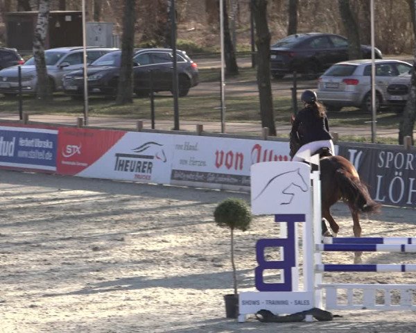 Reitturnier Westergellersen 2022