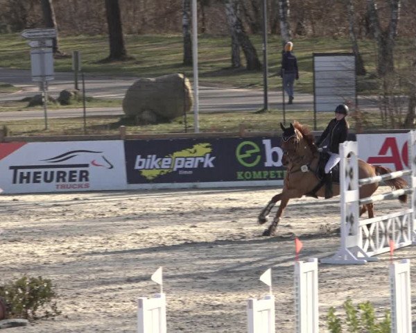 Reitturnier Westergellersen 2022