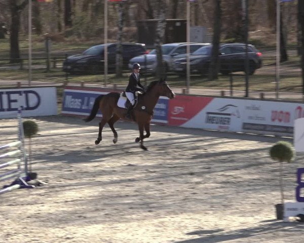 Reitturnier Westergellersen 2022