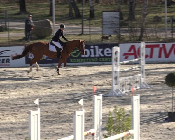 Reitturnier Westergellersen 2022