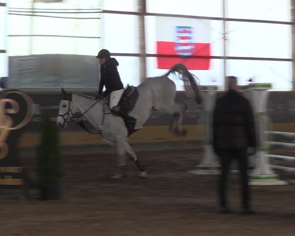 Reitturnier Pausin 2022
