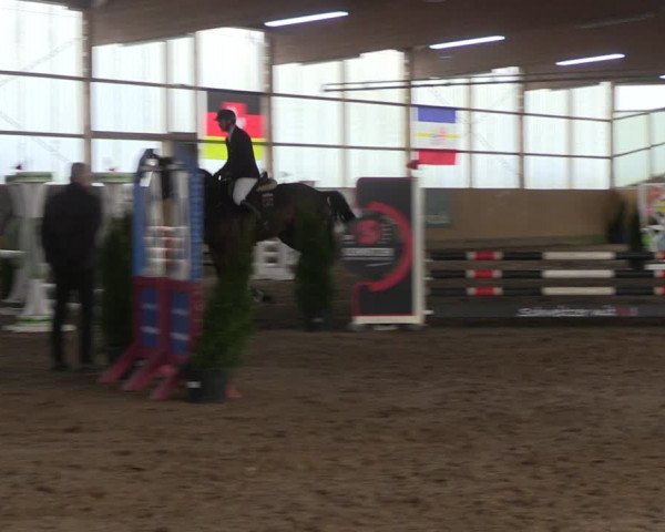 Reitturnier Pausin 2022