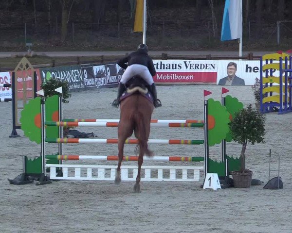 Reitturnier Westergellersen 2022