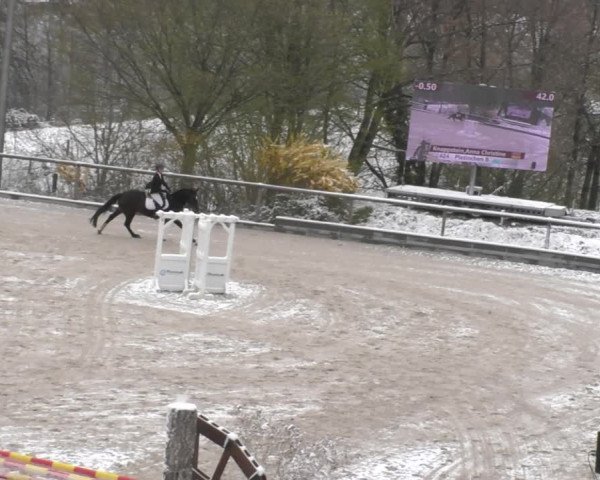 Reitturnier Erkrath - Uhlenhof 2022