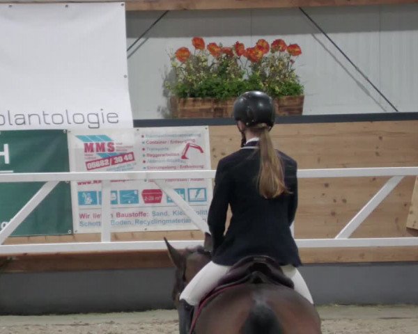 Reitturnier Borken 2022