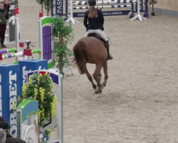 Reitturnier Borken 2022