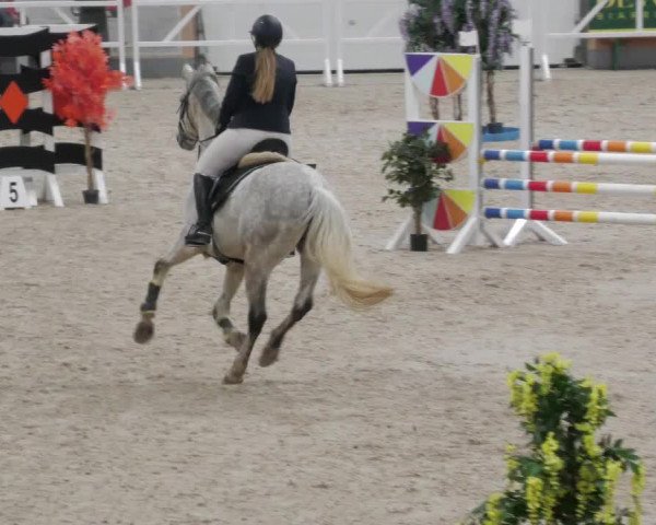Reitturnier Borken 2022