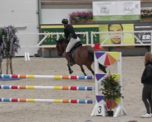 Reitturnier Borken 2022