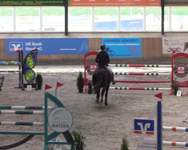 Reitturnier Niebüll 2022