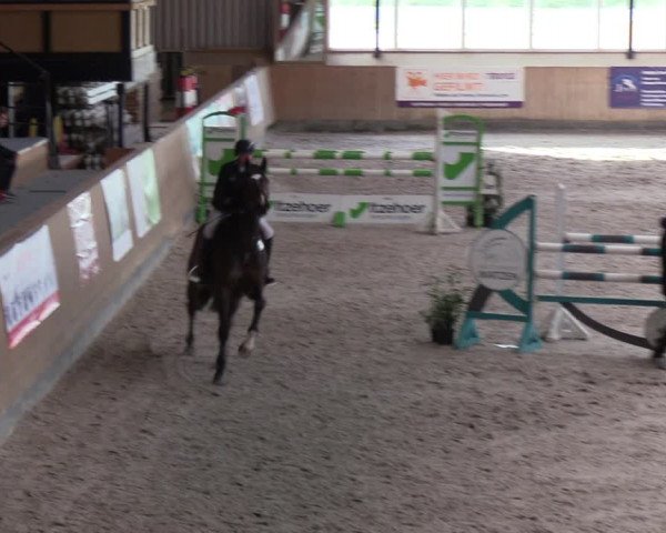 Reitturnier Niebüll 2022