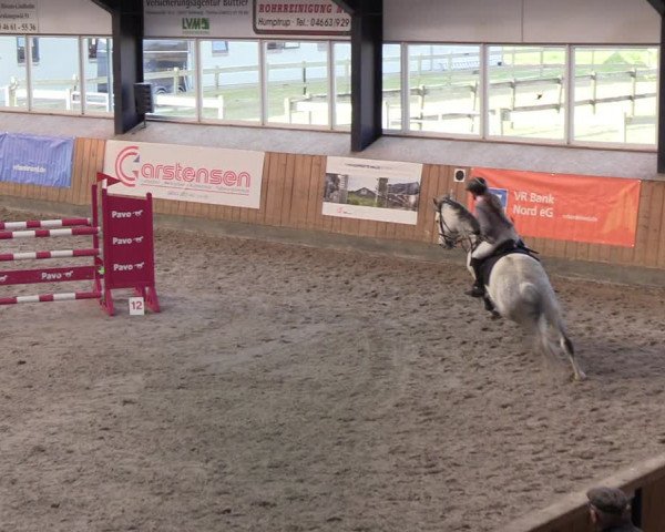 Reitturnier Niebüll 2022