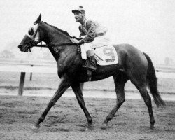 broodmare Misty Morn xx (Thoroughbred, 1952, from Princequillo xx)
