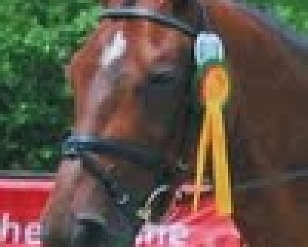 broodmare Ars Vivendi (Zweibrücken, 2001, from Aquilino)