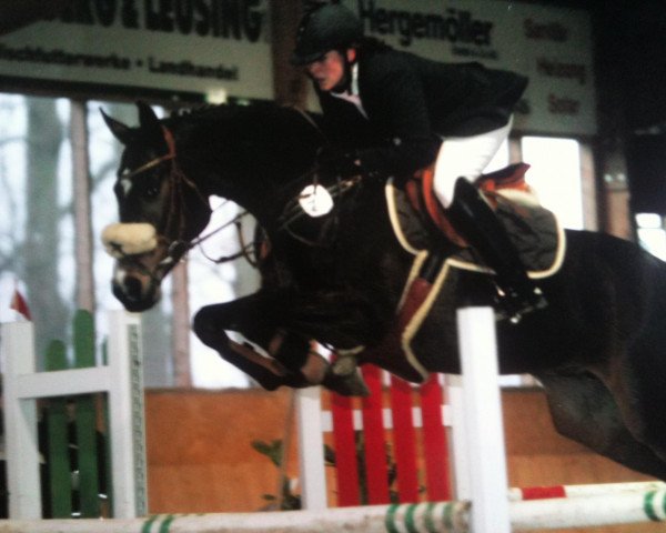 dressage horse Pia 605 (unknown,  )