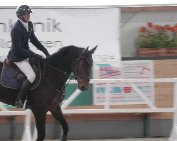 Reitturnier Borken 2022