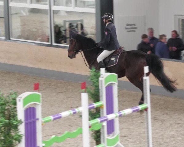 Reitturnier Borken 2022