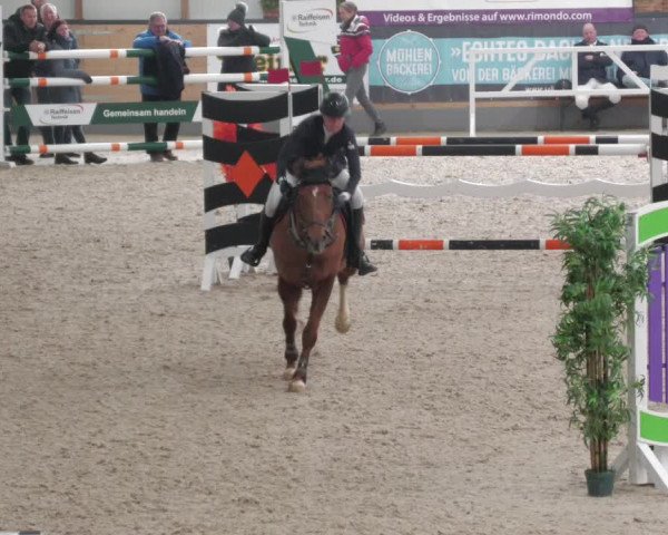 Reitturnier Borken 2022