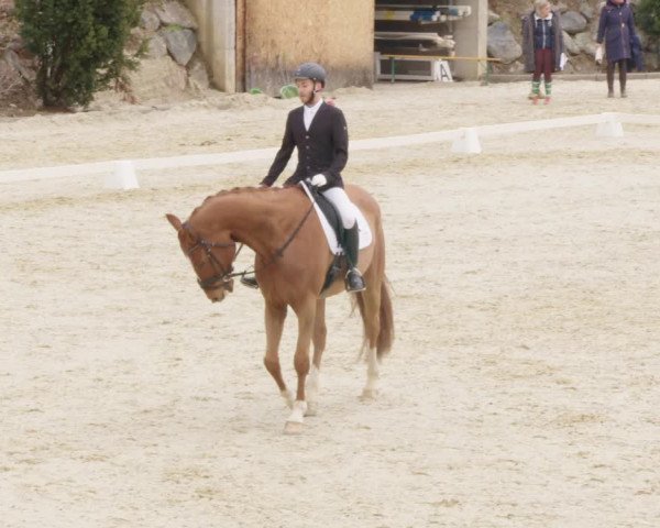 Reitturnier K, St. Margarethen-Stückler 2022