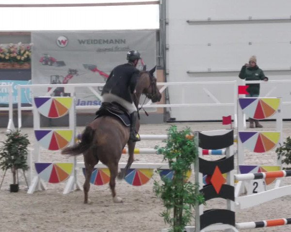 Reitturnier Borken 2022